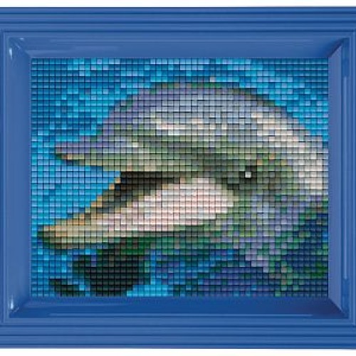 Delfín komplet 31001